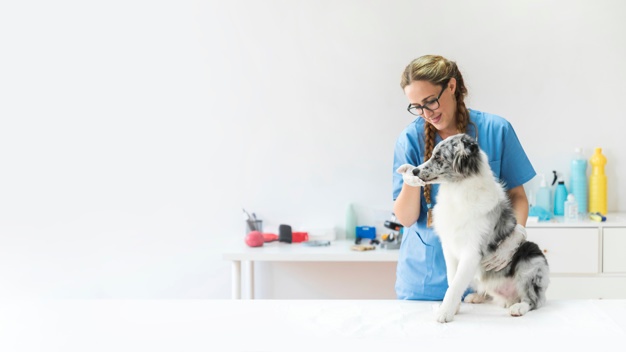 Ultimate Guide To Become A Vet In Australia