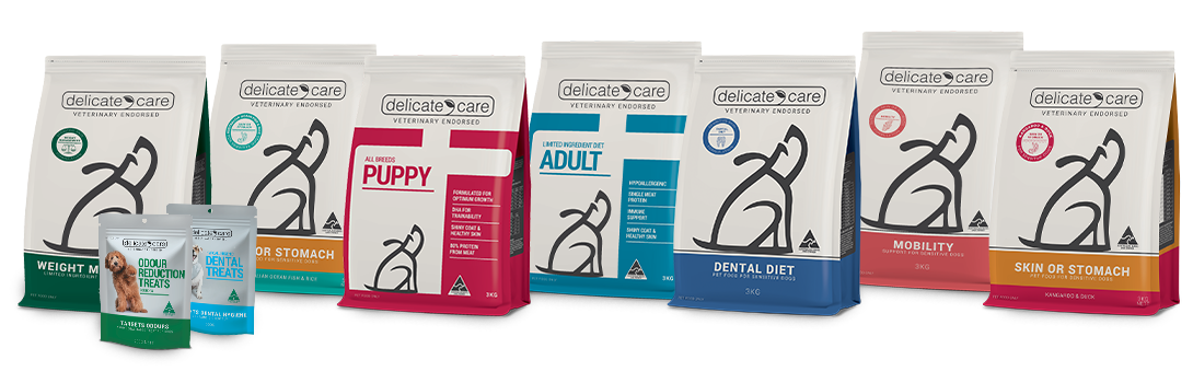 Delicate care store cat food online